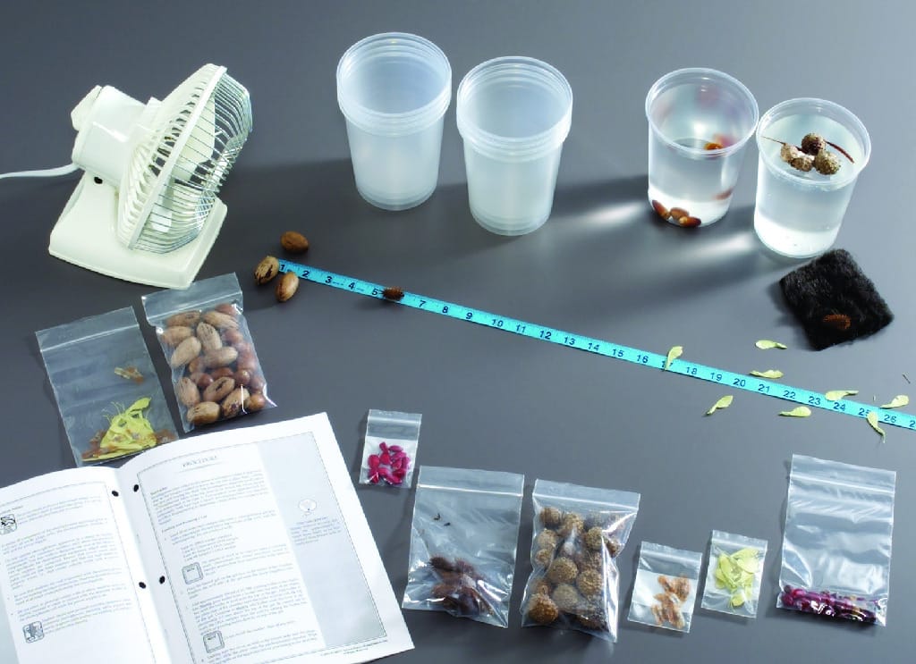 Ward's® Seed Dispersal Lab Activity