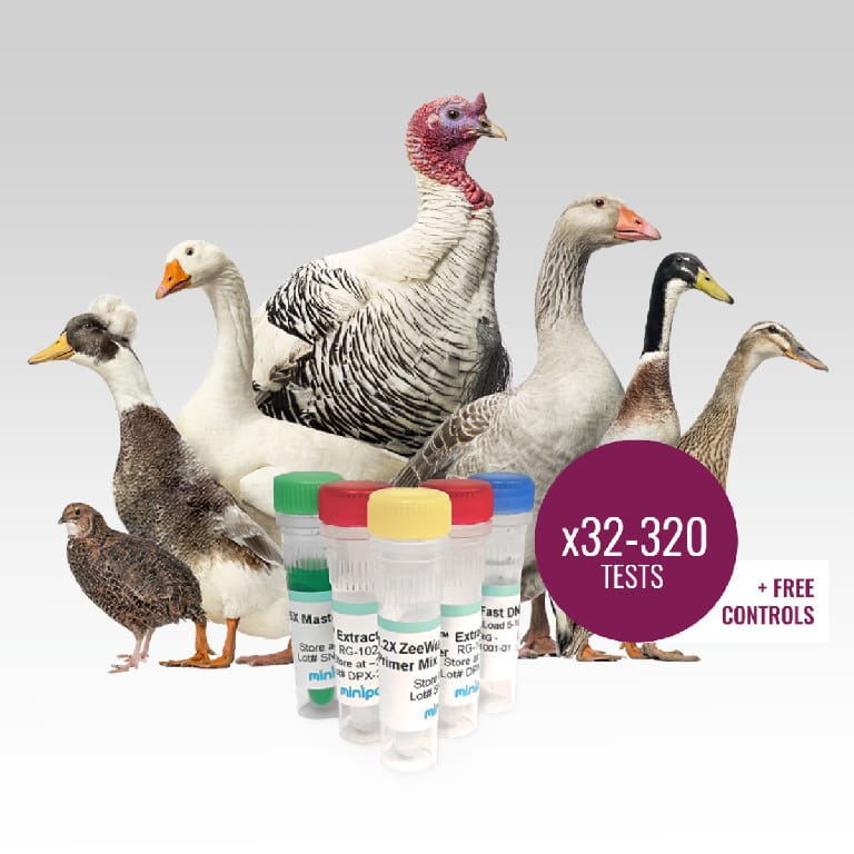 miniPCR® ZeeWee™ III Bird DNA Sex Test