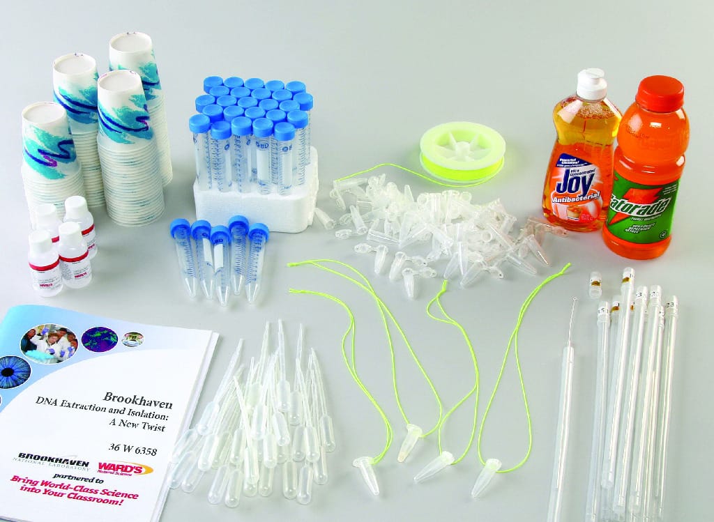 DNA On A Chain Kit