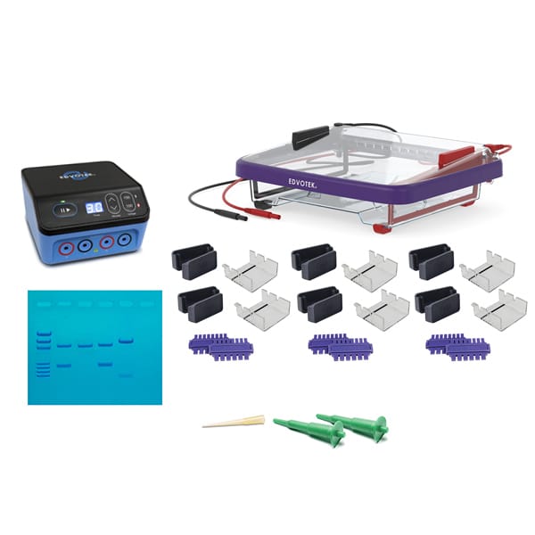 Classroom DNA Electrophoresis LabStation