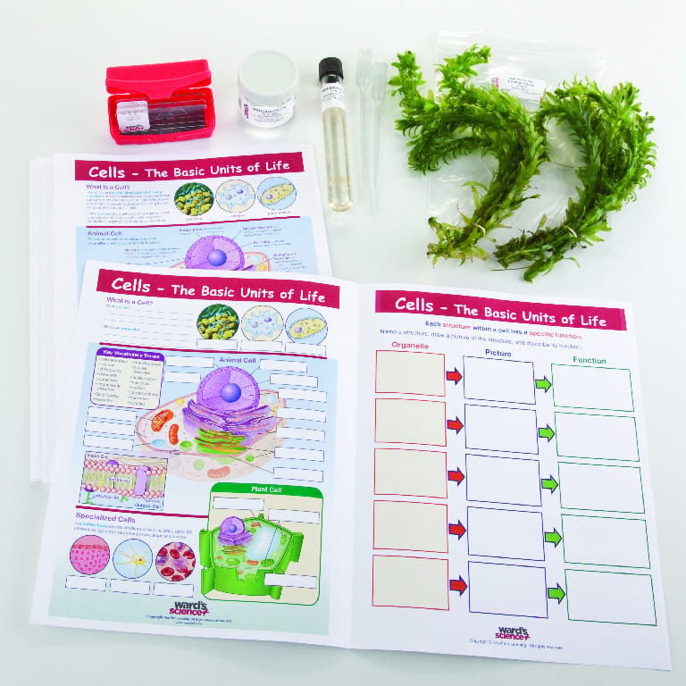 Ward's® Biology Collaborative Learning Bundles