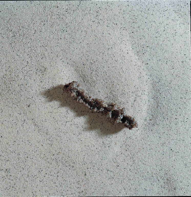 Ward's® Fulgurite
