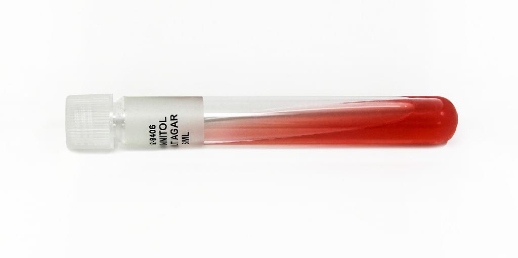 Mannitol Salt Agar