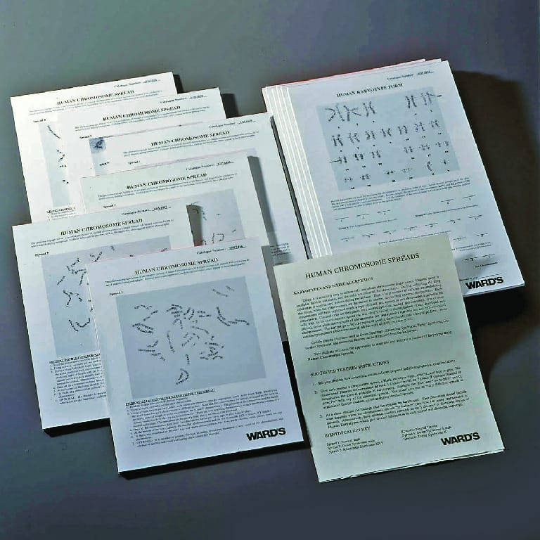 Ward's® Karyotyping Pad Set