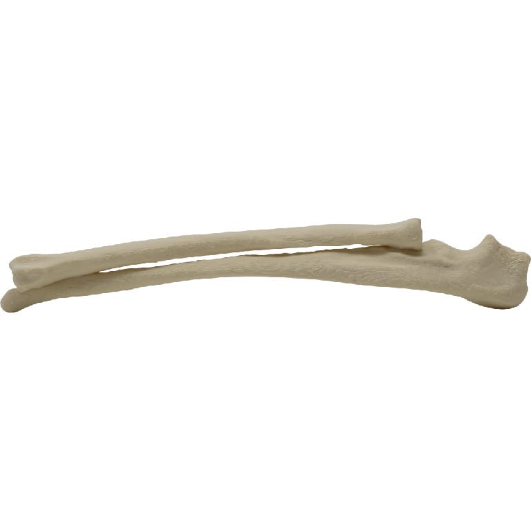 Med Dimensions® Vet Bones, Canine