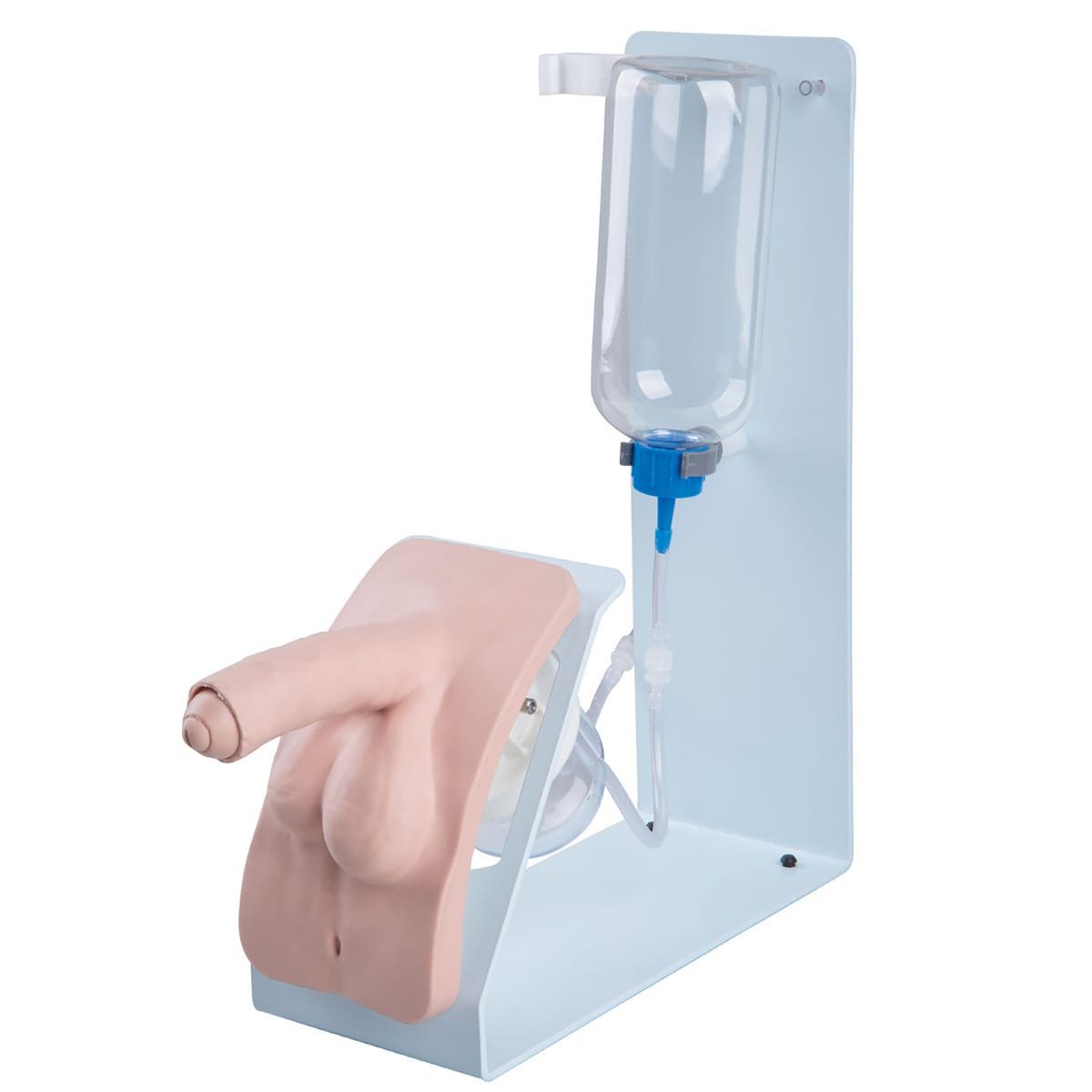 3B Scientific® Catheterization Trainers