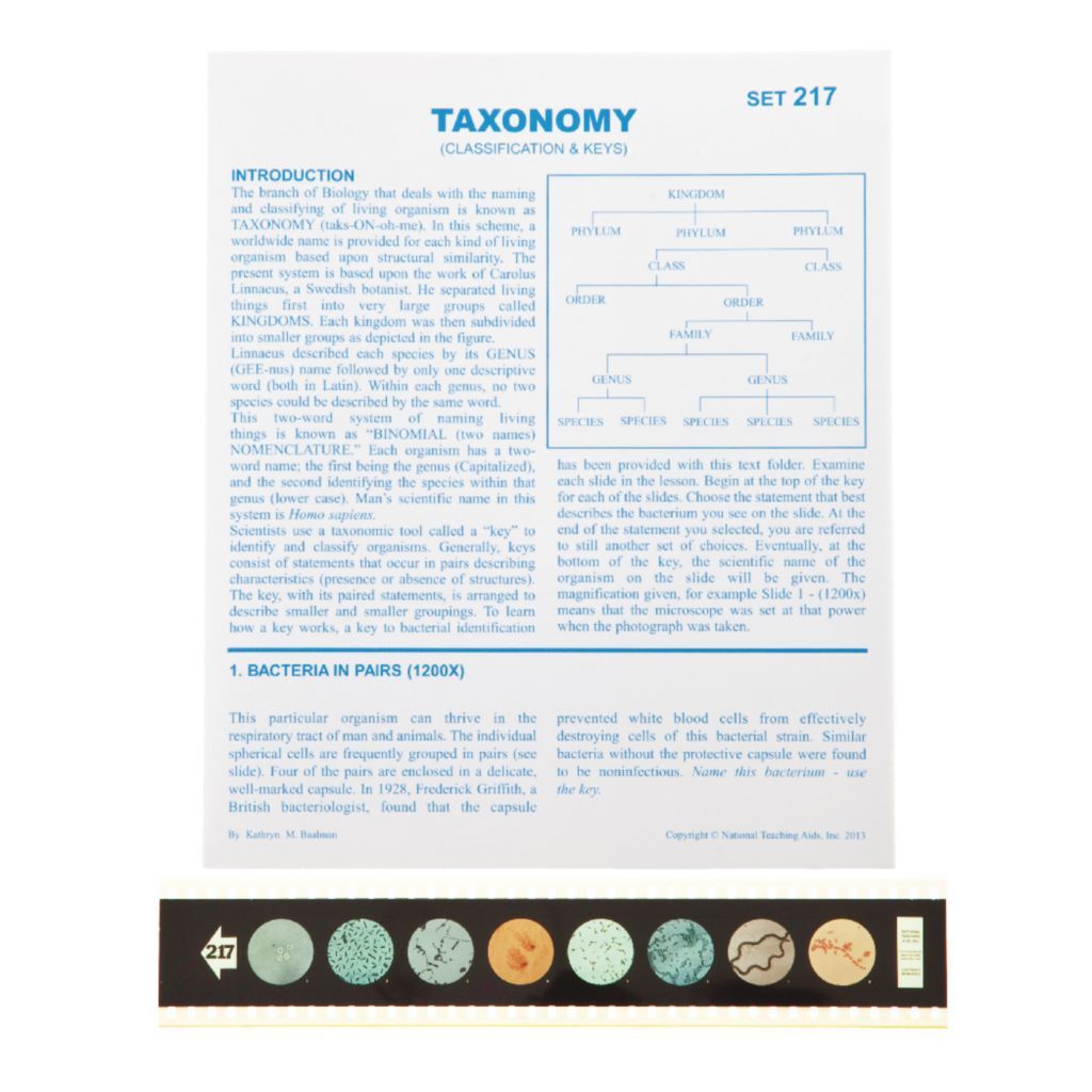 Taxonomy Microslides