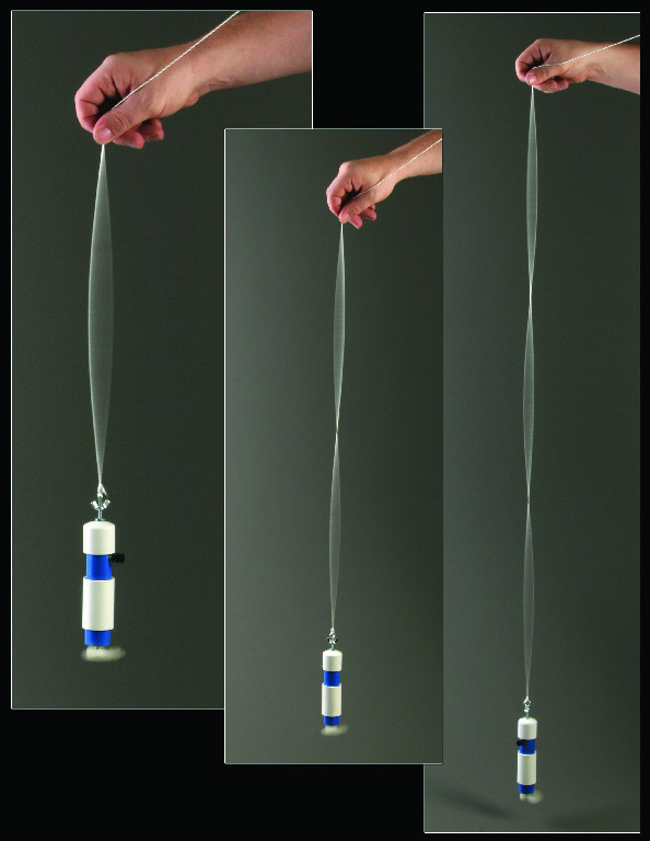 Ward's® Variable Standing Wave Generator