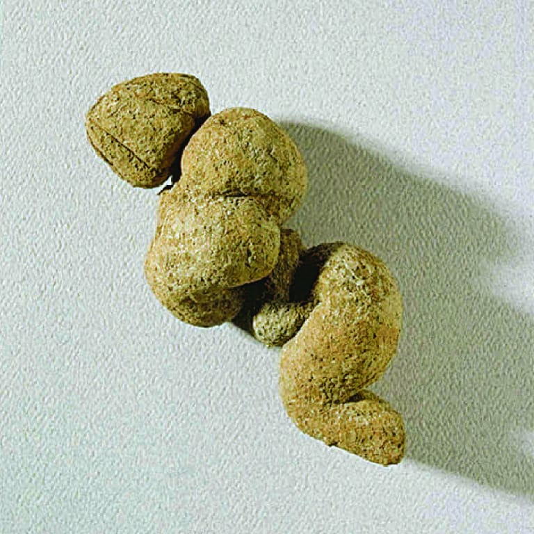 Coprolites