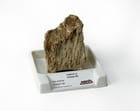 Pumice (Light Gray)