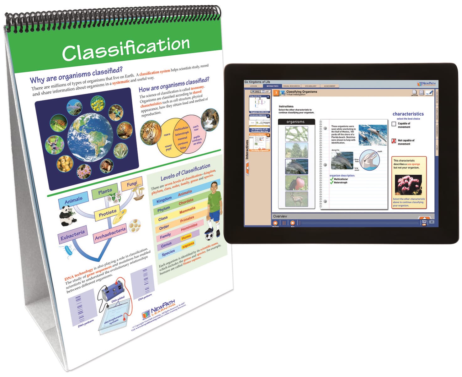 NewPath® Life Science Skill Builder Flip Charts with Multimedia Lessons