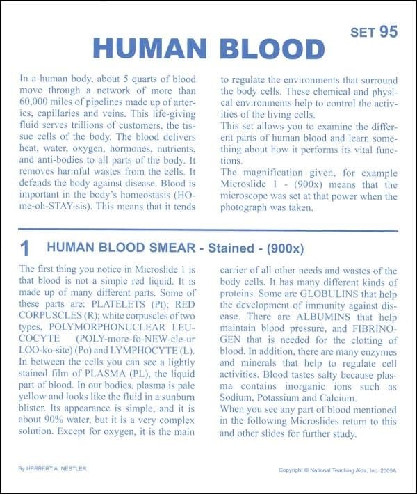 Human Blood Microslides