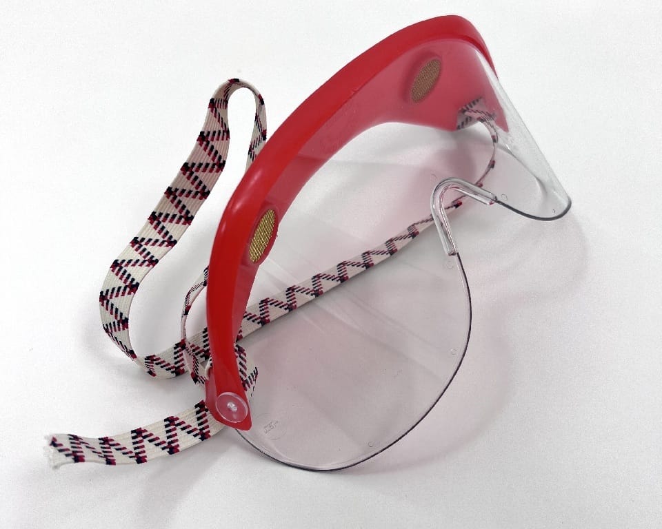 Visorgogs® Safety Goggles, Jones FR