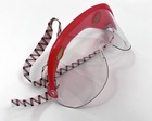 Visorgogs® Safety Goggles, Jones FR