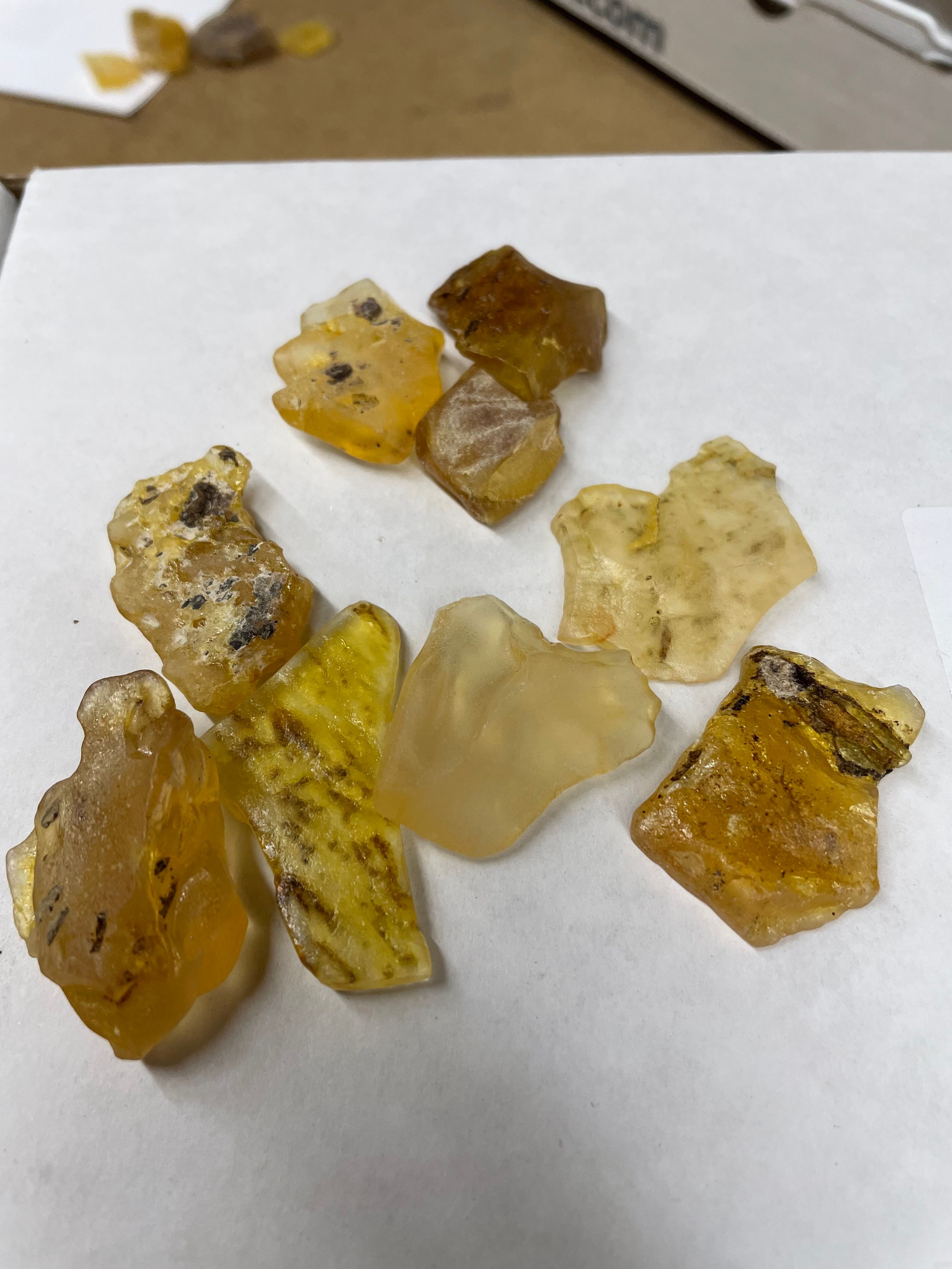 Ward's® Amber Study Pack