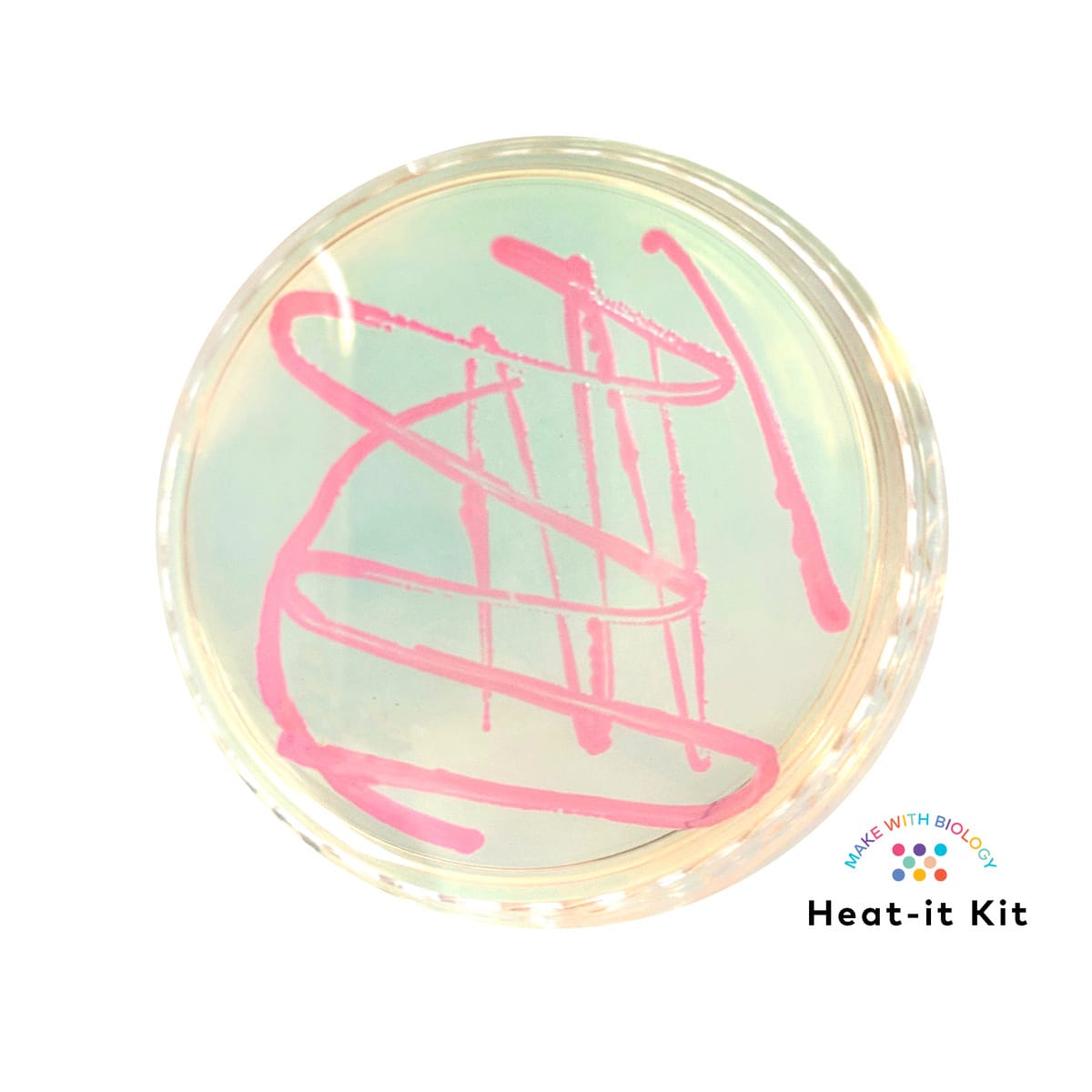 Amino Labs Heat-It Kit™