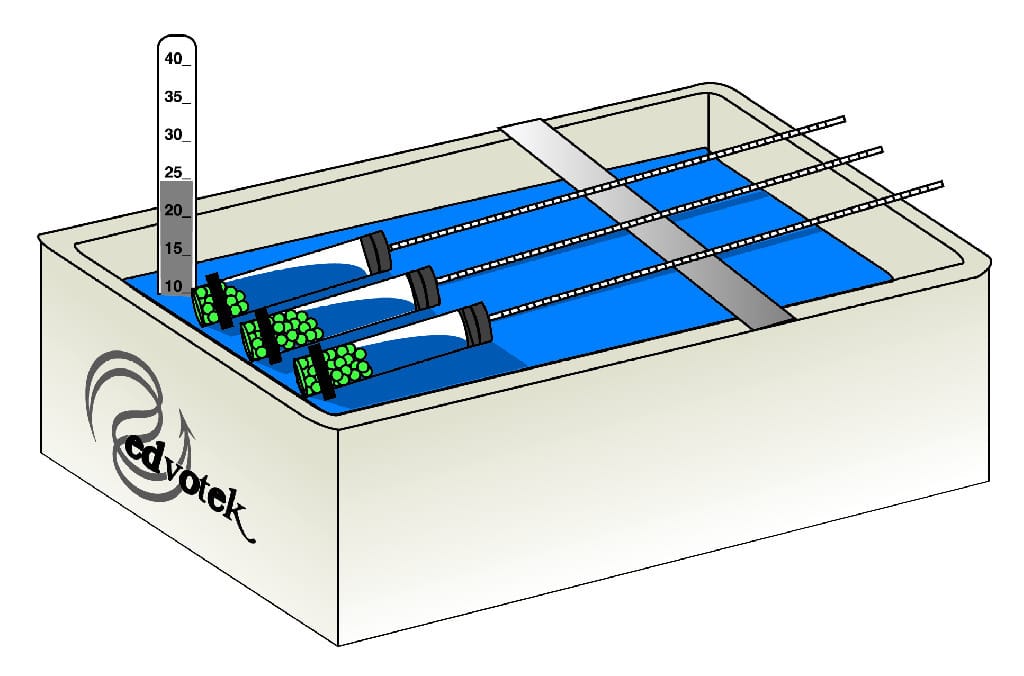 Cellular Respiration Kit