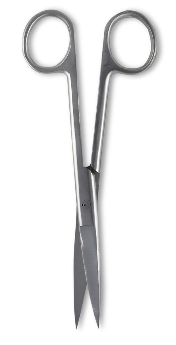 Surgical Style Scissors