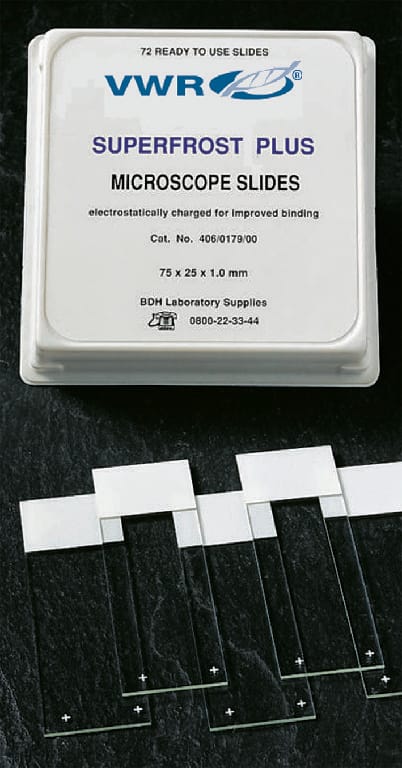 VWR® SuperFrost® Plus Adhesion Slides, Positively Charged | VWR, part ...