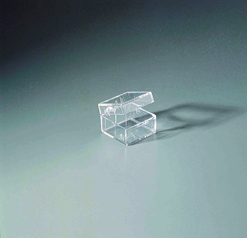 Hinged-Lid Plastic Boxes