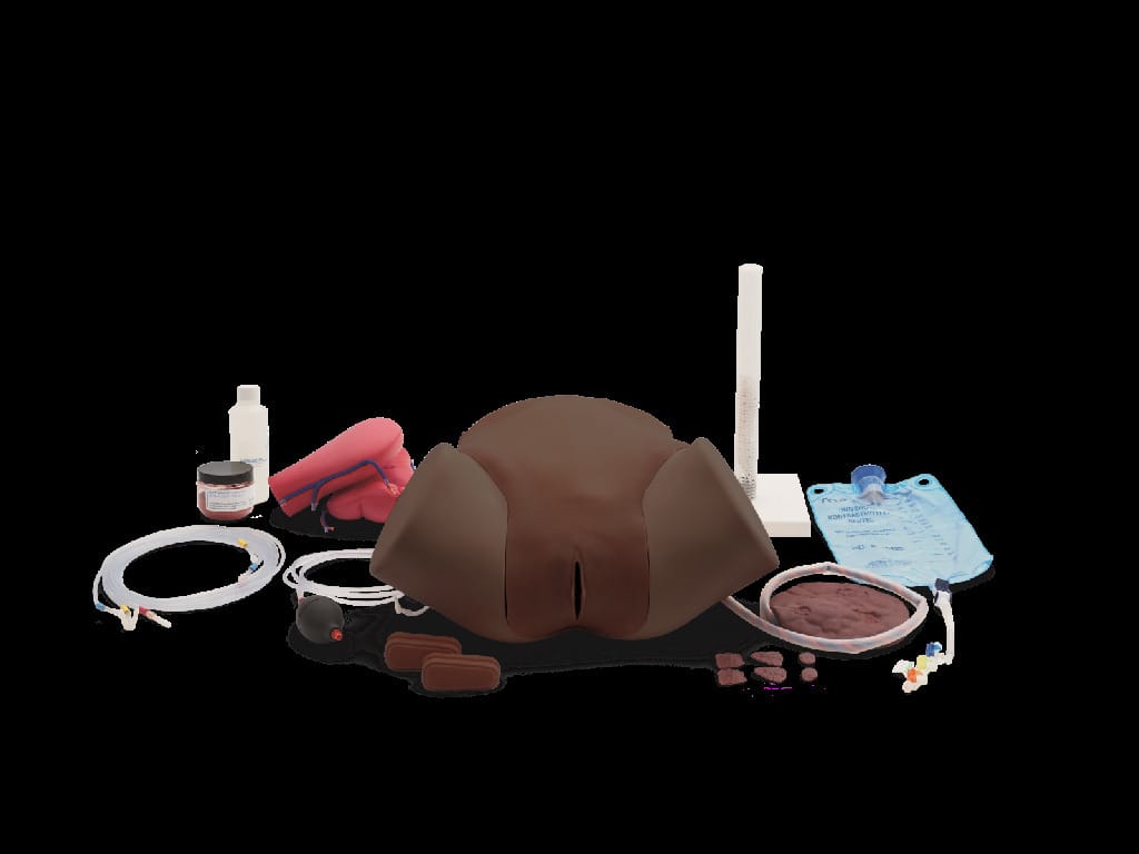 3B Scientific® Post Partum Hemorrhage Trainer