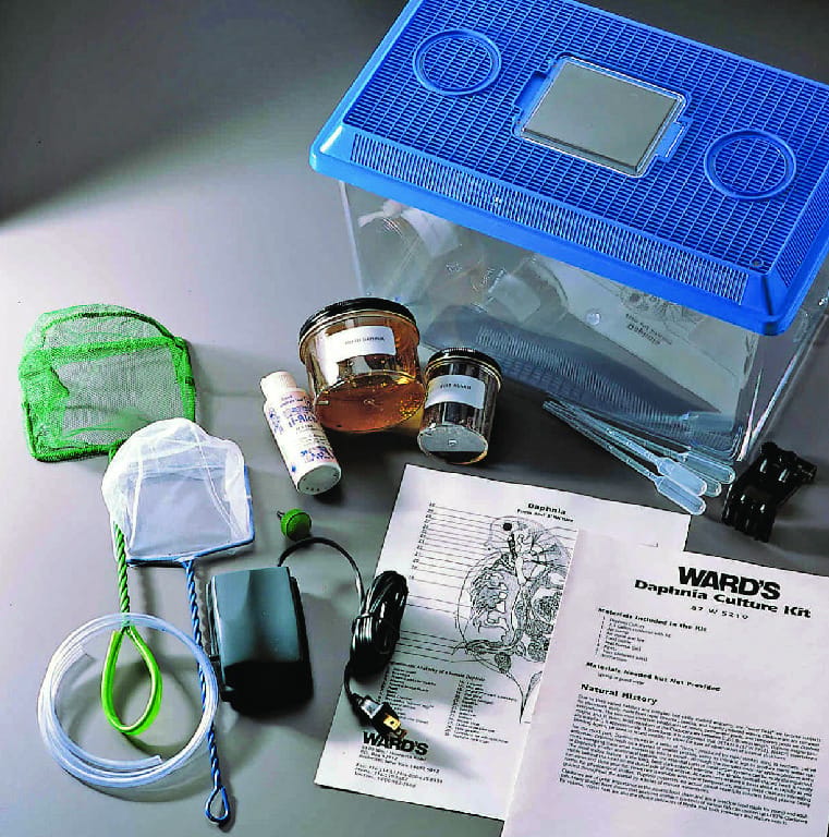 Ward's® Daphnia Culturing Kit