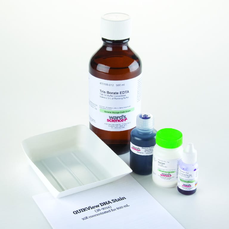 Ward's® Agarose Gel Electrophoresis Lab Pack