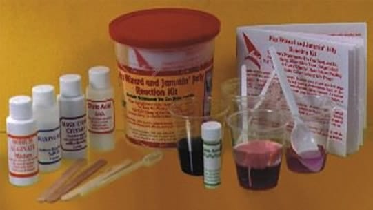 Fizz Wizard and Jammin’ Jelly Reaction
