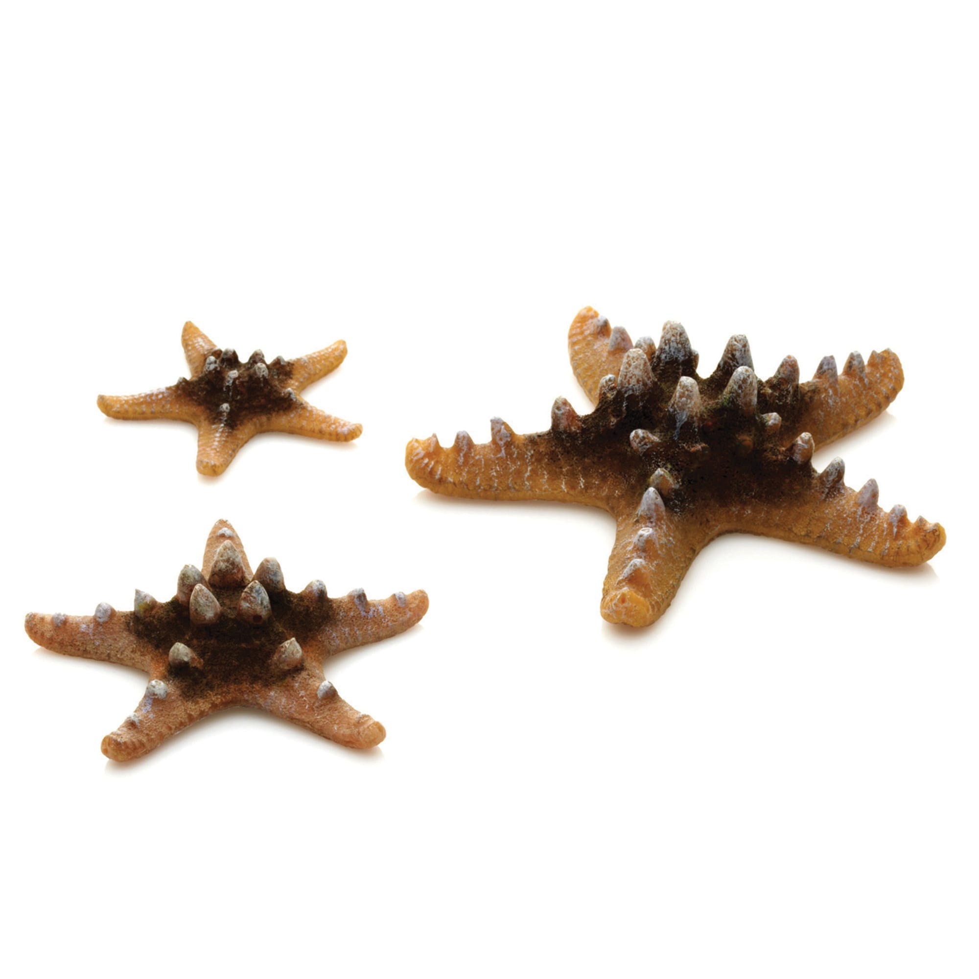 biOrb® Aquaria Decorations