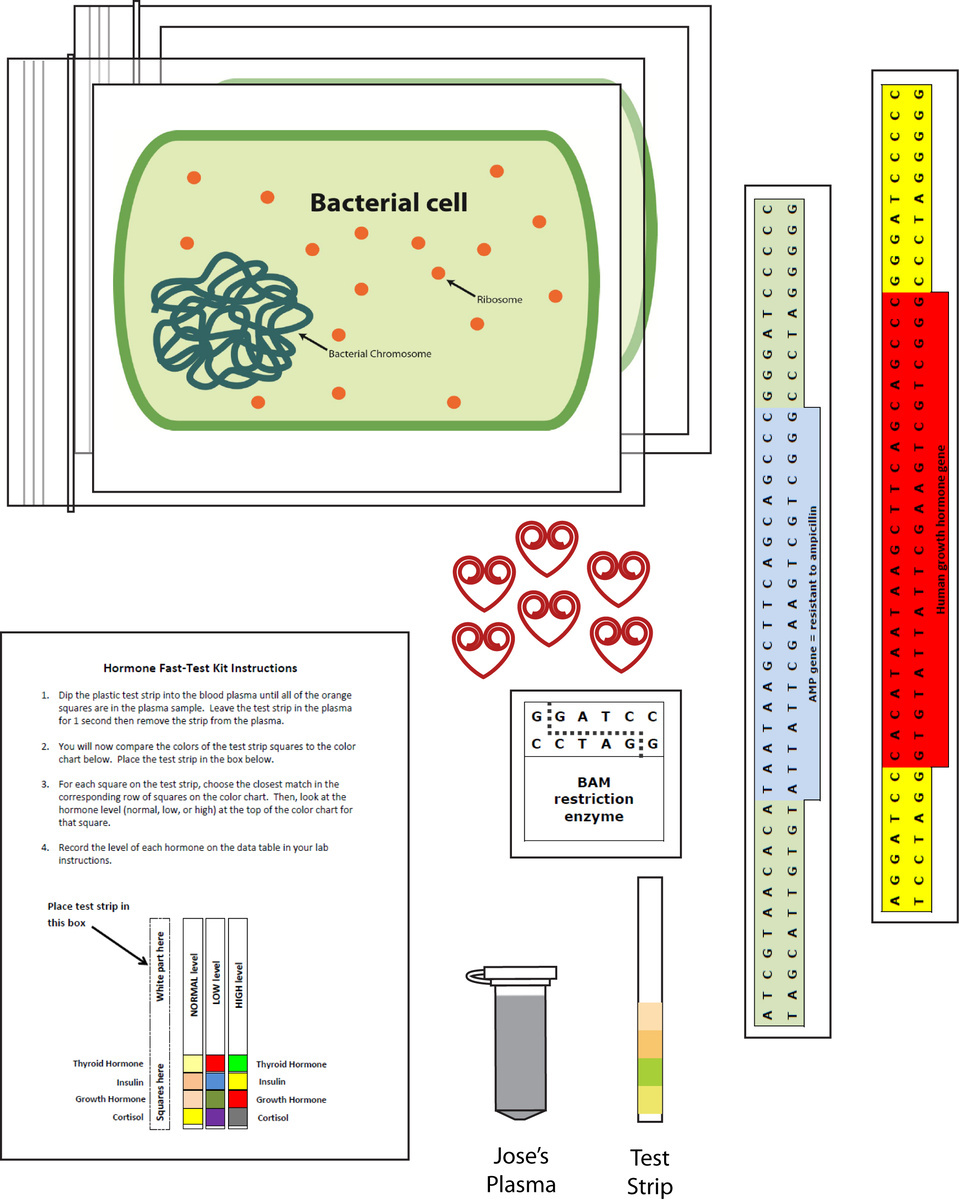 Science Take-Out® Genetic Engineering: Way To Grow