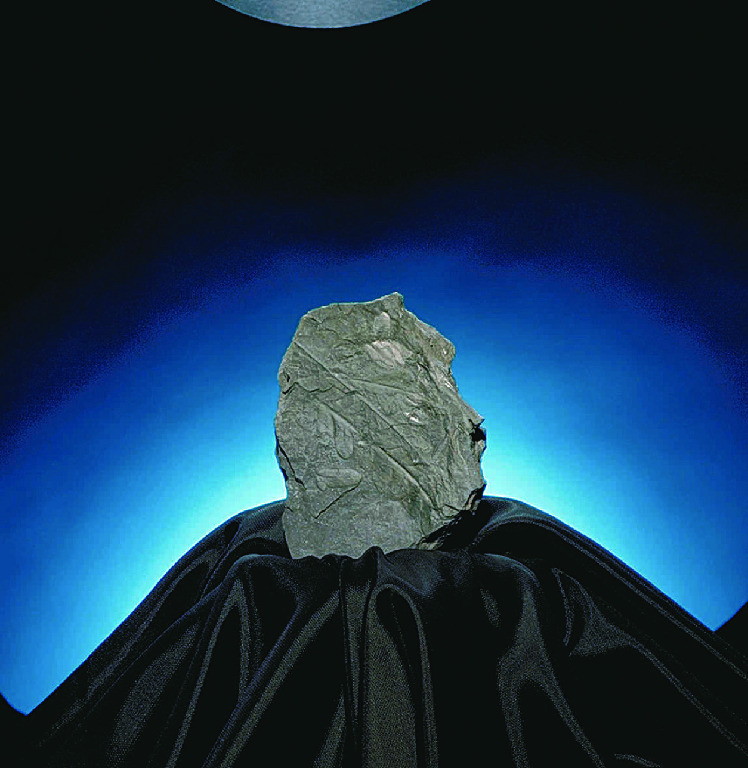 Shale (Carbonaceous)