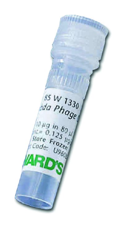 Lambda Markers