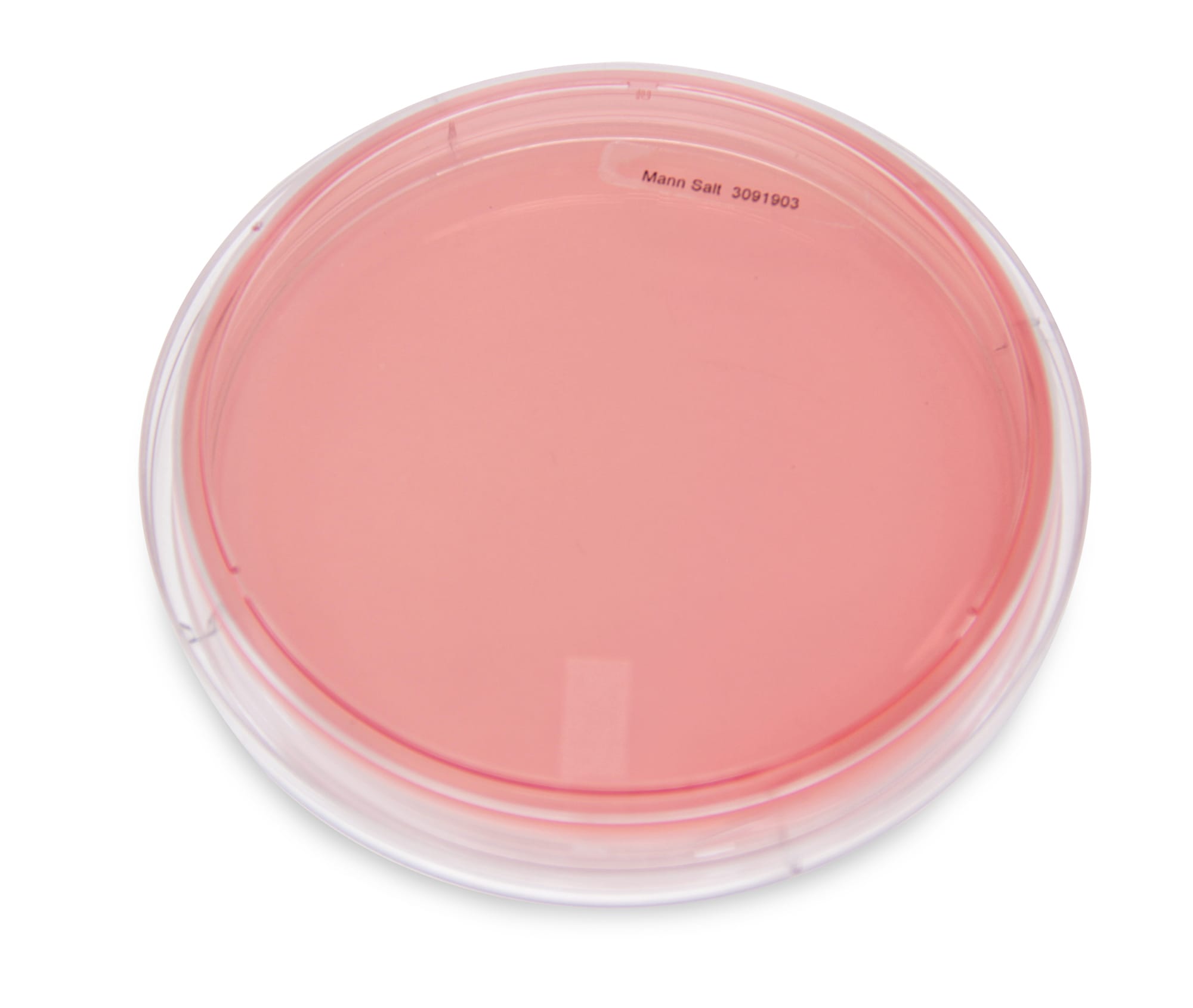 MSA Mannitol Salt Agar Plates