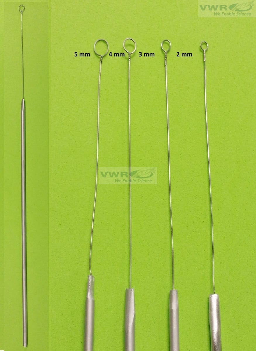 VWR® Nichrome/Aluminum Innoculating Loops