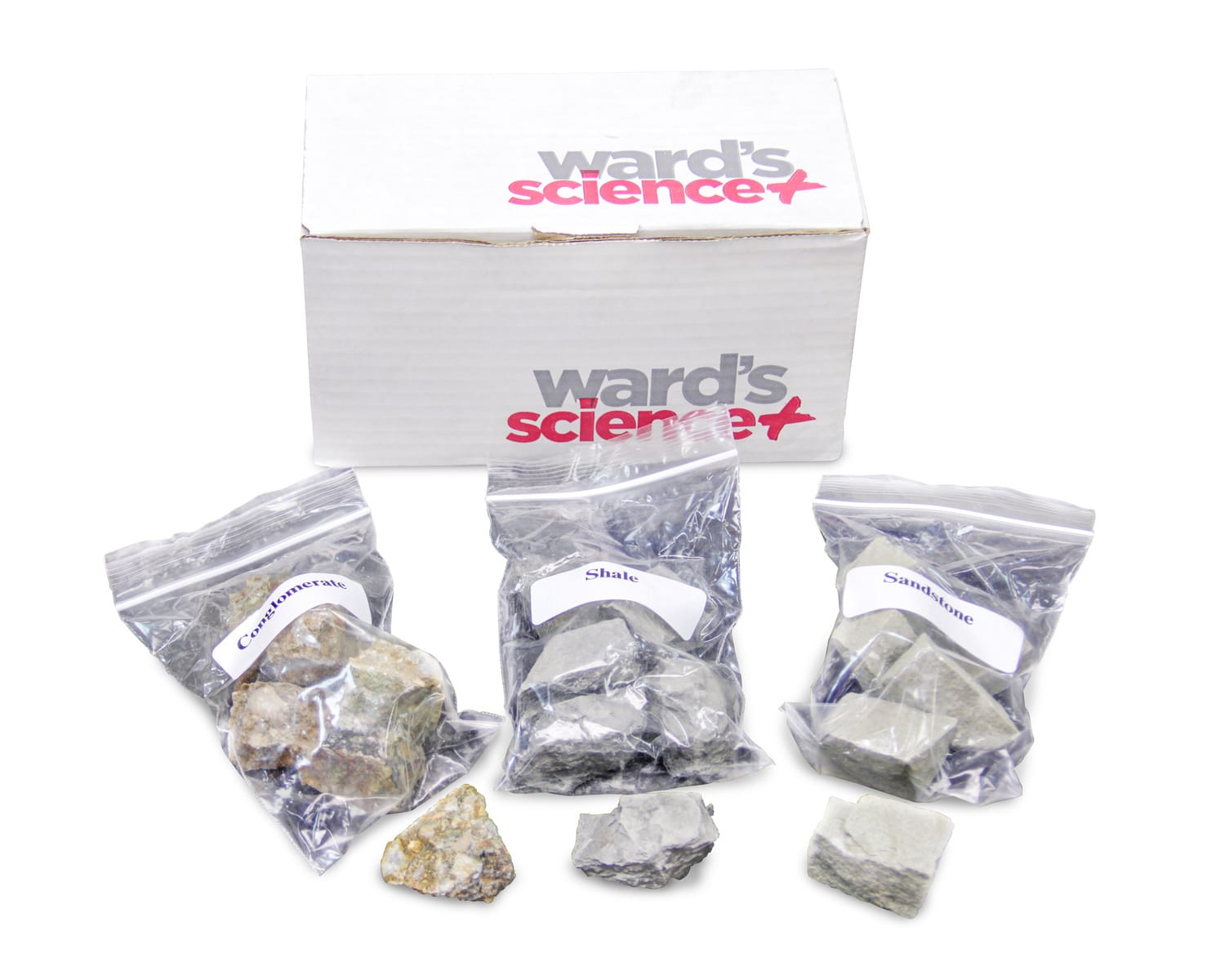 Sedimentary Rock Set of 18