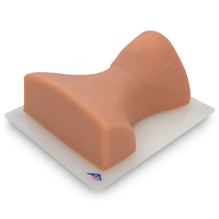3B Scientific® Image Guided Cervical Injection Trainer