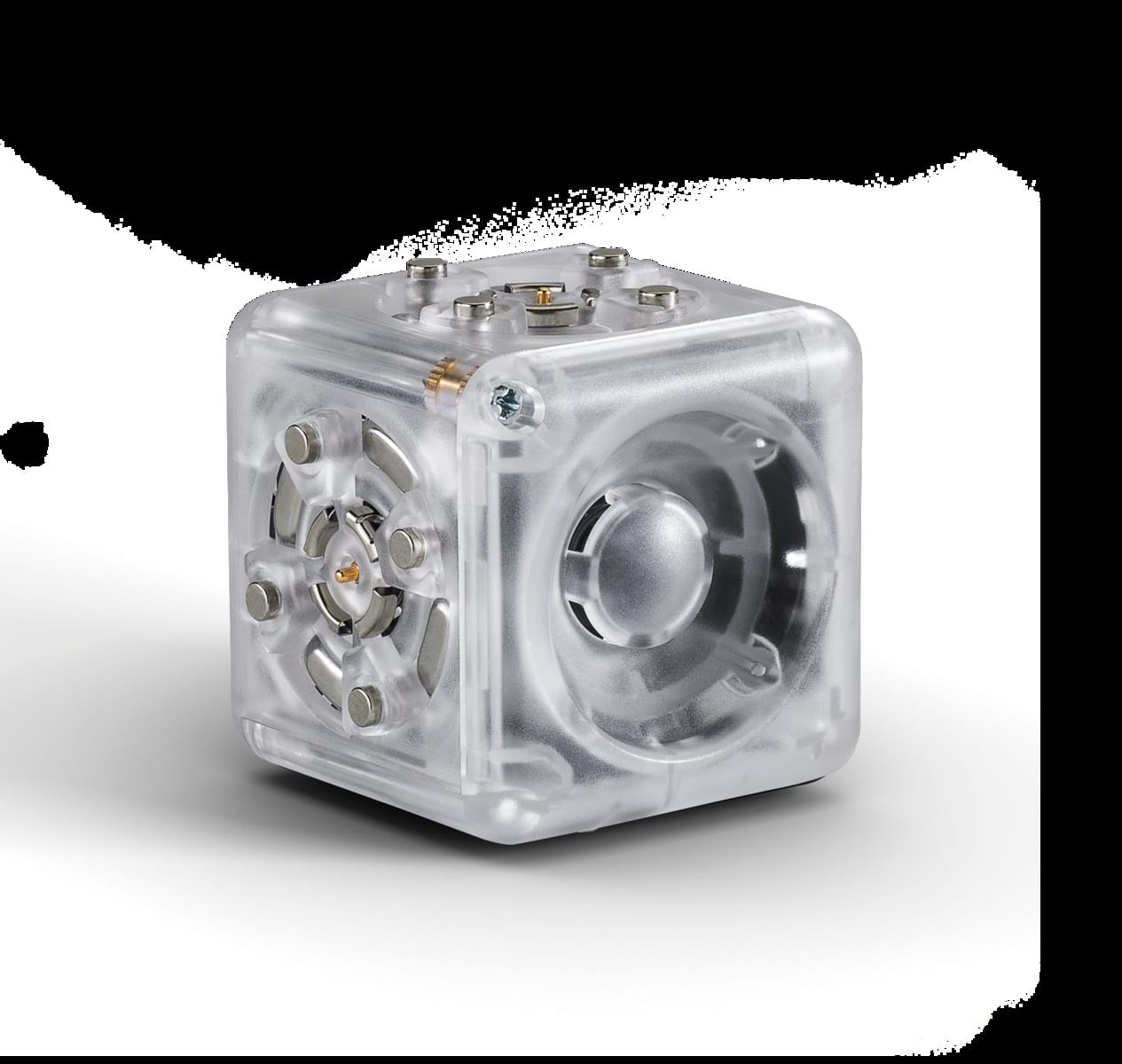 Individual Cubelets