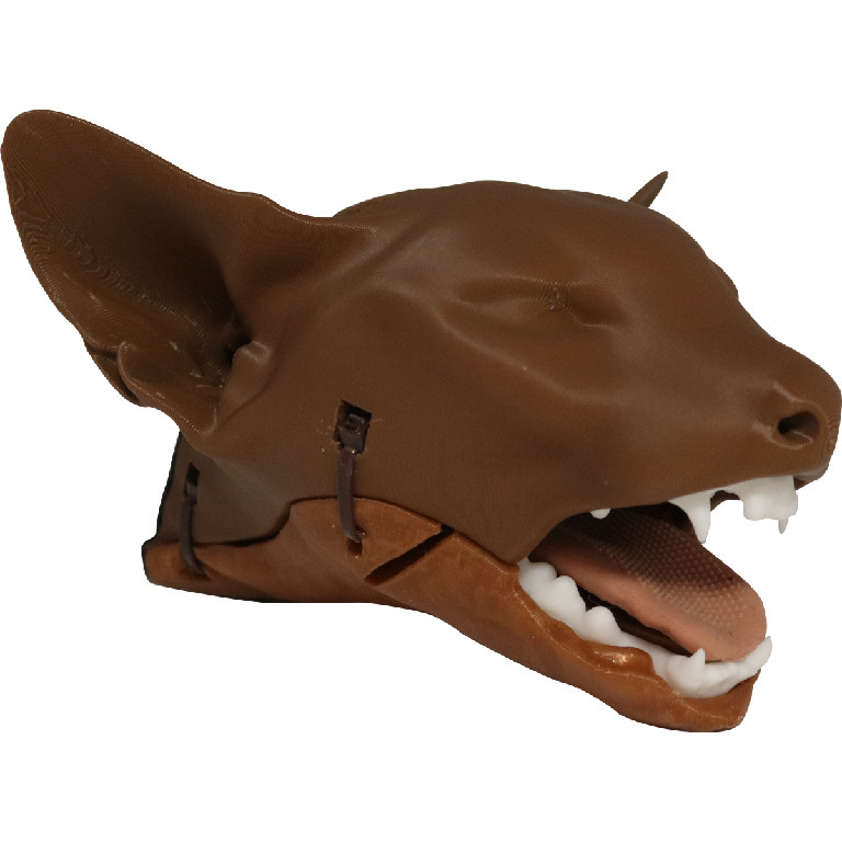 Med Dimensions® Feline Intubation Trainer
