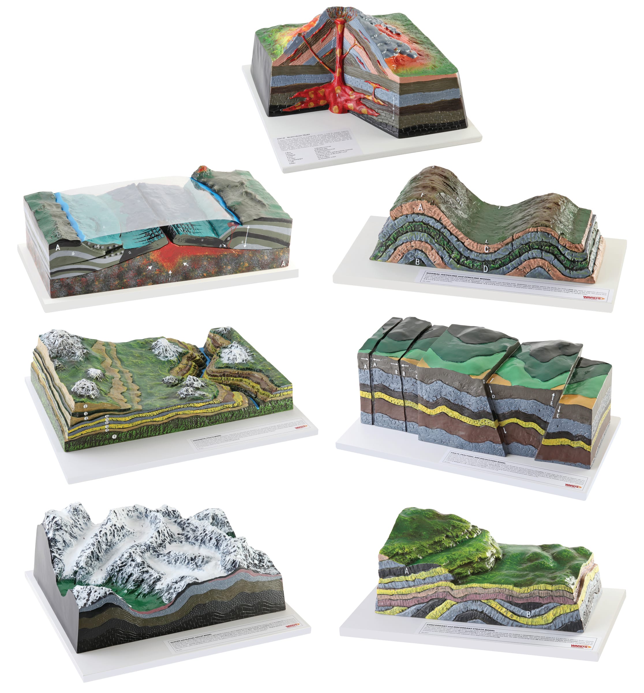 Ward's® Complete Set of Geological Processes Models