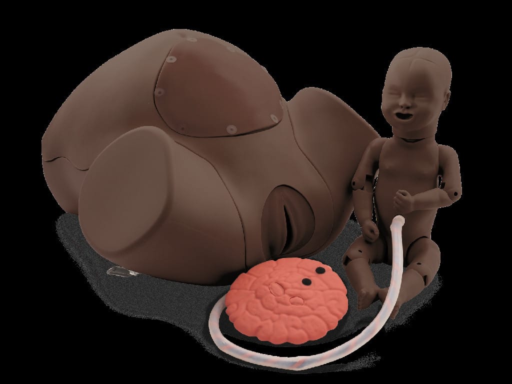 3B Scientific® Birthing Simulators