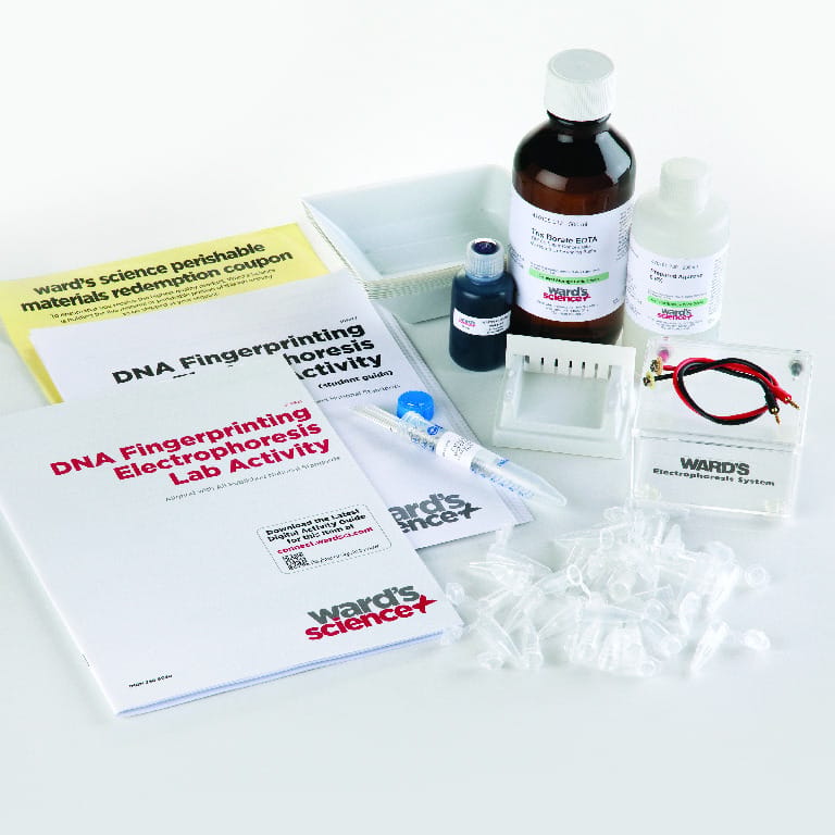 Ward's® DNA Fingerprinting Electrophoresis Lab Activity