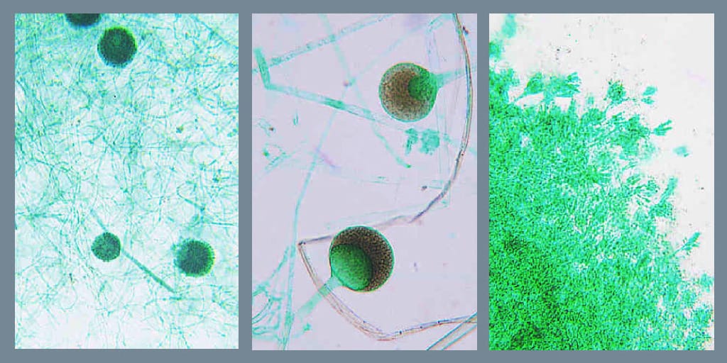Mold Types, Composite Slide