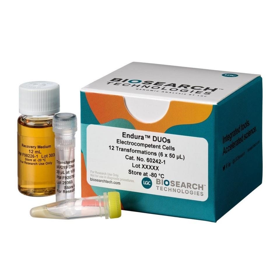 Endura™ Competent Cells, Biosearch Technologies | VWR, part of Avantor