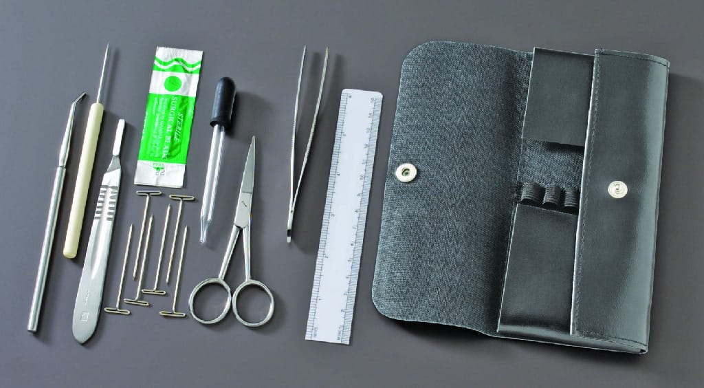 Ward's® Complete Dissecting Set