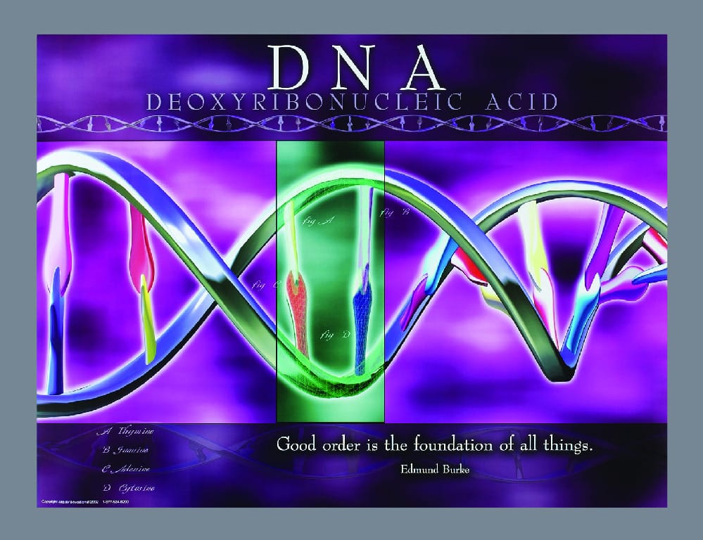 Biology Images and Ideas Posters