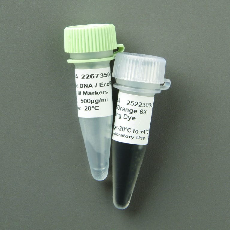 Lambda DNA/<i>Eco</i>R I, Hind III Digest