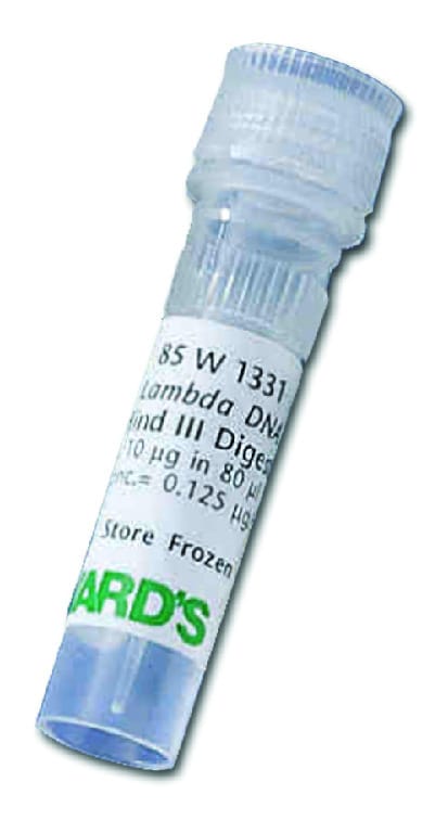 Lambda Markers