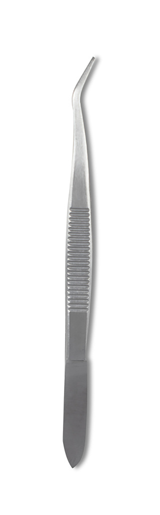 Dissecting Forceps