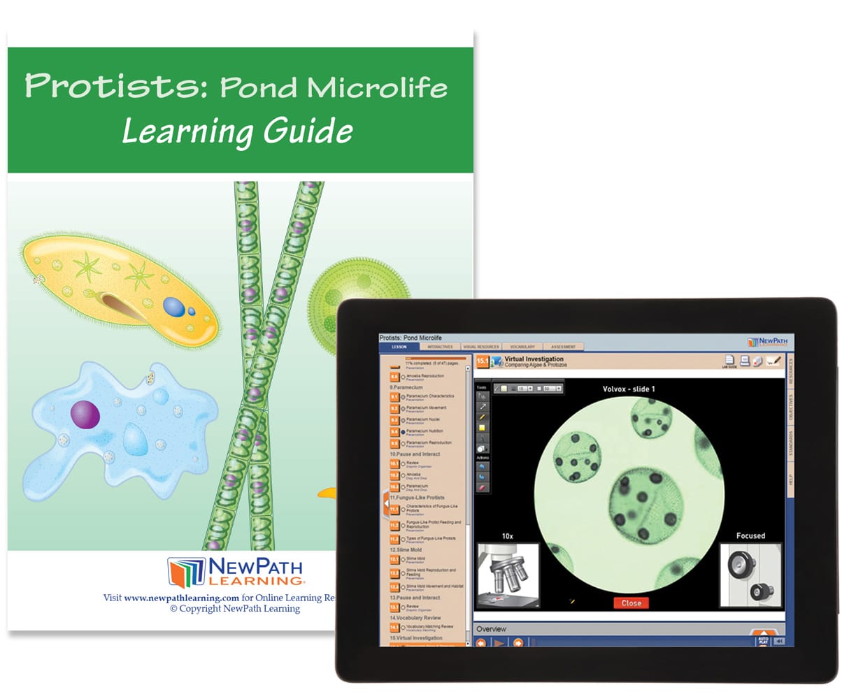 NewPath® Study Guides with Online Lesson
