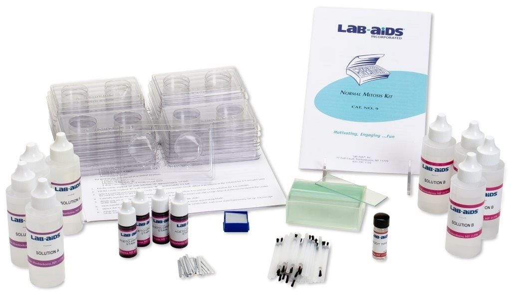 Lab-Aids® Normal Mitosis Kit